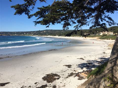 Carmel Beach, California : r/CaliforniaPics