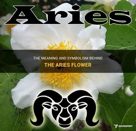 The Meaning And Symbolism Behind The Aries Flower Shunspirit