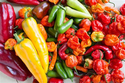 Refrigerator Pickled Peppers Recipe Chili Pepper Madness