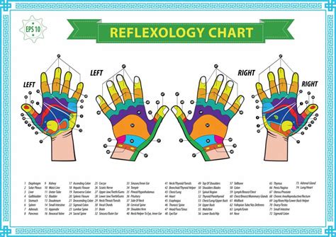 Pain Relief, Reflexology & Acupressure | Reflexology Therapy