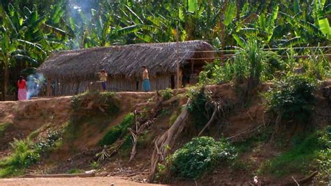 Bolivian Tsimane People Have World’s Healthiest Arteries, Study Says | Anthropology, Medicine ...