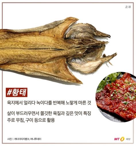 바다정보다잇다 황태·동태·코다리명태의 진짜 이름은 머니투데이