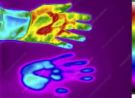 Thermogram Of A Thermal Shadow Stock Image C Science