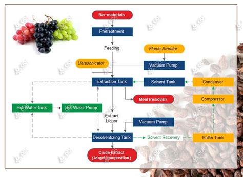 Grape Seed Oil Extraction Methods Comparison|How to choose?