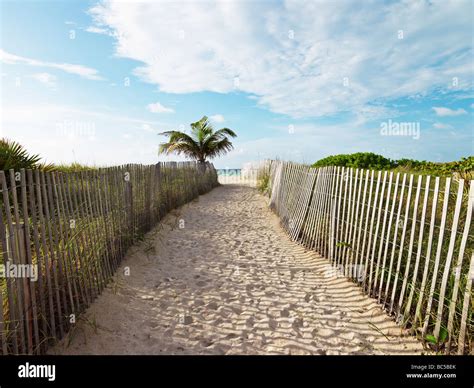 South Beach Miami Sandy Path Leading To Beach Stock Photo Alamy