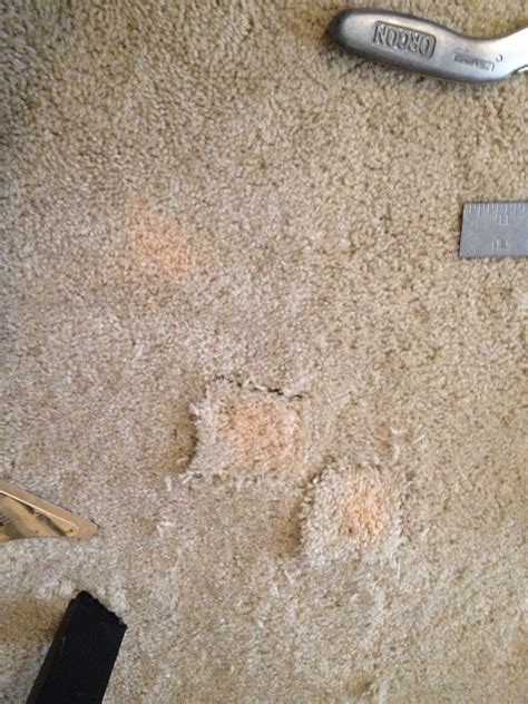 How Do I Fix A Bleach Stain In Carpet Resnooze