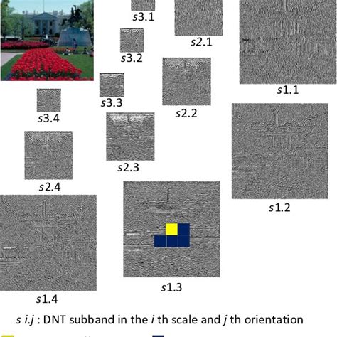 Divisive Normalization Transform Based On Steerable Pyramid