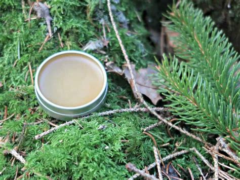 How To Make Pine Resin Salve • Craft Invaders