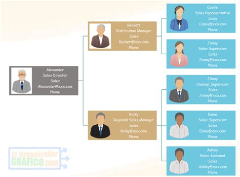 Organigramas Y Su Clasificaci N Tipos Y Ejemplos My Xxx Hot Girl Hot
