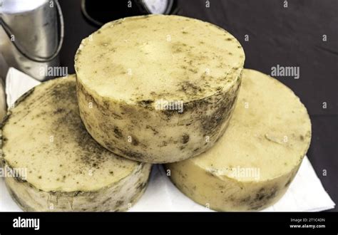 Detail Of Typical Spanish Cured Cheese Classic Food Stock Photo Alamy