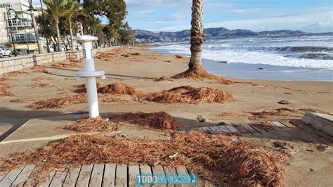 Benicàssim estima en más de 300 000 euros el coste de los daños del