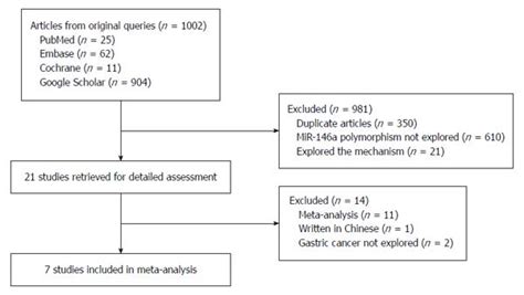 Mir 146a Rs2910164 Polymorphism Increases Risk Of Gastric Cancer A