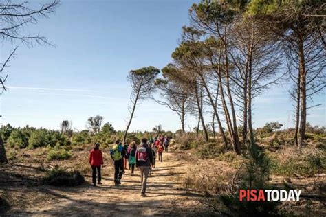 Trekking Nella Tenuta Di San Rossore Fino Al Mare Eventi A Pisa