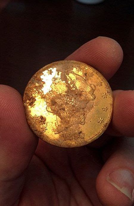 California Couple Finds 10m In Gold Coins 11 Pics