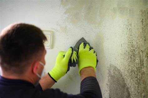 How To Prevent & Remove Basement Mold (Guide)