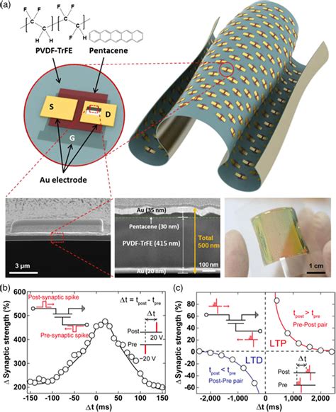 Recent Progress On Emerging Transistorbased Neuromorphic Devices He