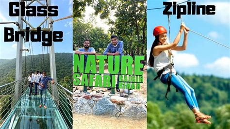 Glass bridge rajgir | Nature safari rajgir | Zipline | Bihar | 4k - YouTube