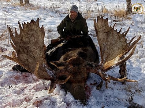 Hunting In Russia Kamchatka Moose and Brown Bear | Hunting Consortium