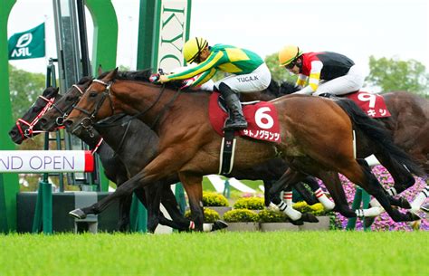 【京都新聞杯】3連勝でサトノグランツが重賞初制覇！ 競馬ニュースなら競馬のおはなし