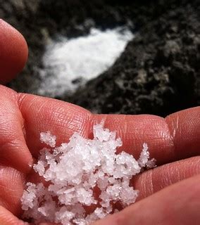Real sea salt | Is it safe to eat? 'Cause I heard sea water … | Flickr