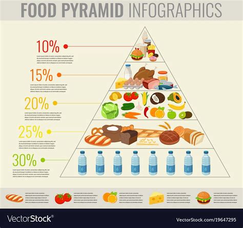 Food Pyramid Healthy Eating Infographic Healthy Vector Image On Vectorstock Artofit