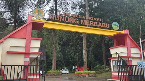 Wisata Alam Pegunungan Di Taman Nasional Gunung Merbabu YouTube