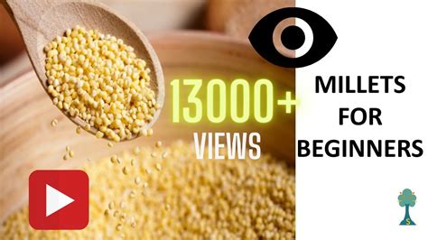 Millets For Beginners How To Start And How Much To Eat Youtube