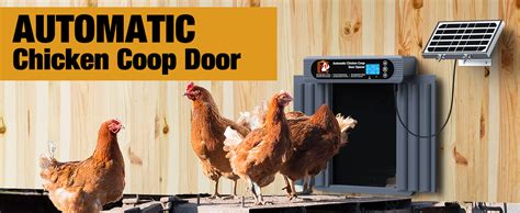 Amazon Gropow Automatic Chicken Coop Door Solar Powered Anti