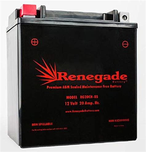 Buy ATV Battery RG20CH BS 350 CCA S Fits Suzuki 2005 2022 LT A750