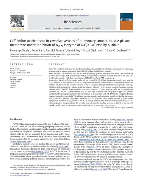 Pdf Ca Influx Mechanisms In Caveolae Vesicles Of Pulmonary Smooth