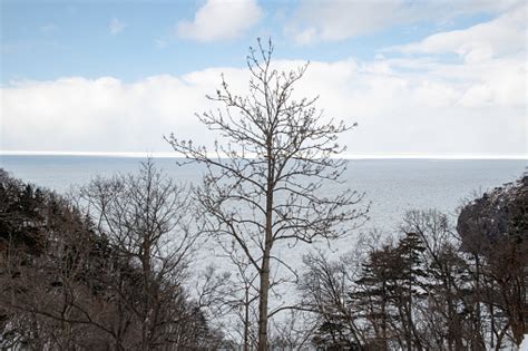 Drift Ice In Sea Of Okhotsk In Winter Iwaobetsu Shiretoko Hokkaido