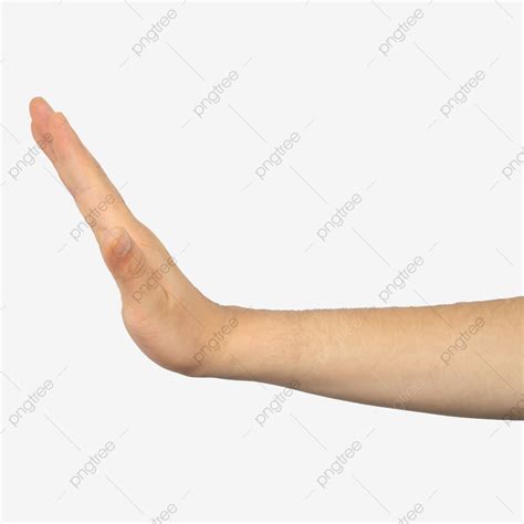 Skin Model Pointing Hand Body Movement Limb Photography Pictures