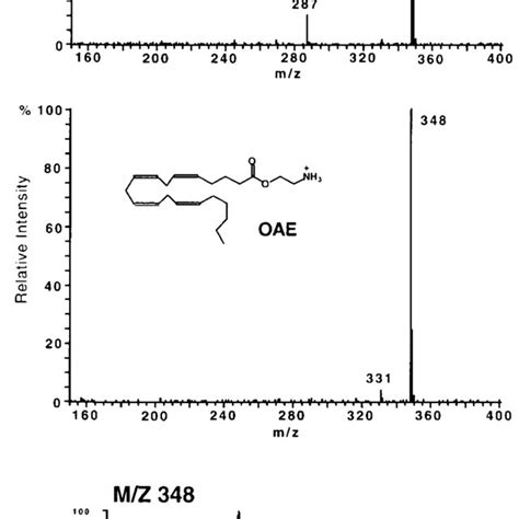 Top Electrospray Mass Spectrum Of N Arachidonoylethanolamine Nae