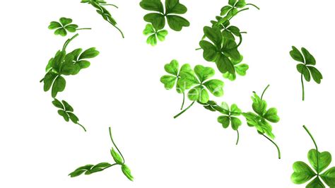 Wallpapers Shamrock - Wallpaper Cave