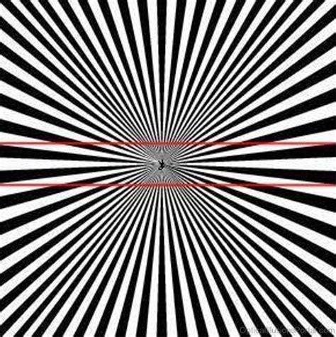 28 Good Ponzo Illusion