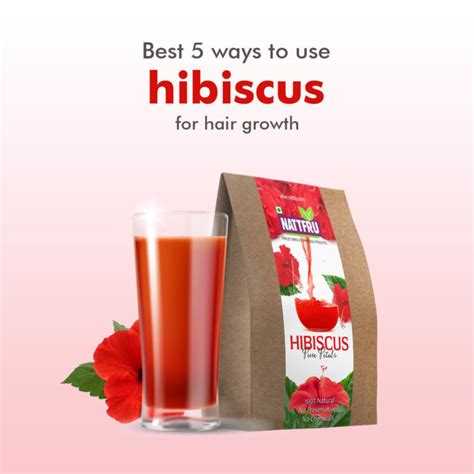 Best 5 Ways To Use Hibiscus Powder For Hair Growth Nattfru