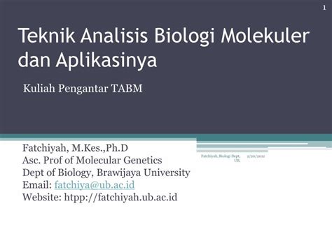 PDF Teknik Analisis Biologi Molekuler Dan Aplikasinyafatchiyah