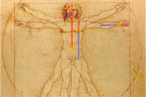 Proporci N Urea De Leonardo En Cr Neos Humanos Bmn