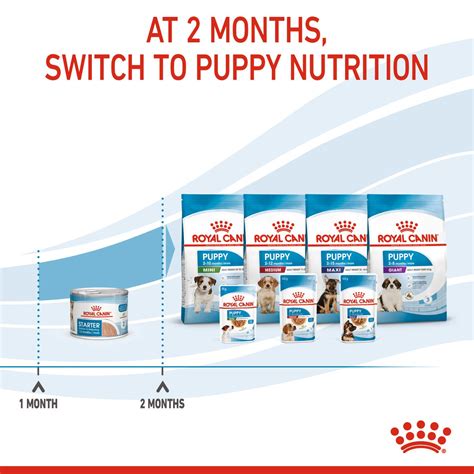 Starter Mother & Babydog Ultra Soft Mousse In Sauce | Royal Canin US