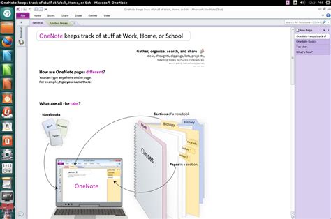 Best Onenote Tutorial For Beginners And Intermediate Users