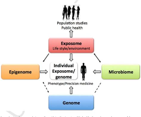 Pdf Integration Of The Human Exposome With The Human Genome To