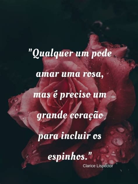 Clarice Lispector Frases Inspiracionais Sentimentos Em Palavras