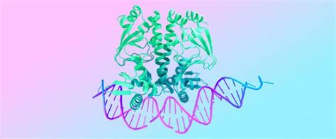 Nature Alphafold 30：ai 蛋白质预测器的升级蛋白质结构蛋白质模型新浪新闻