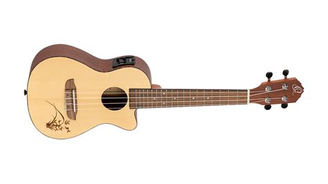 Best Ukuleles For Beginners 2023 Get Started On The Uke Guitar World