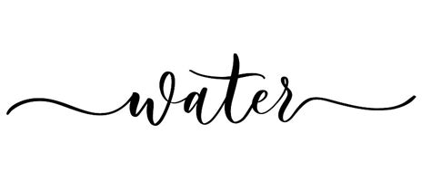 Minimalistic Handlettering Illustration Of Vector Calligraphic