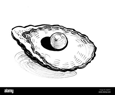 Precious pearl in the shell. Ink black and white drawing Stock Photo ...