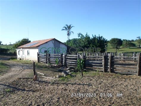 Tima Fazenda De Ha Pronta Para Pecu Ria E Boa Para Agricultura