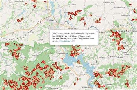 Stworzyli Map Na Kt Rej Pokazuj Planowan Wycink Las W U Nas Te