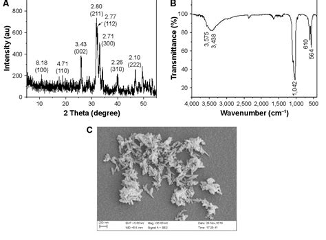 Figure 1 From Diethyl Citrate And Sodium Citrate Reduce The Cytotoxic Effects Of Nanosized