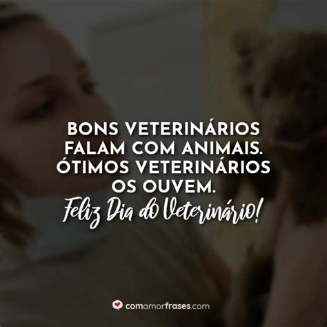 Bons Veterin Rios Falam Animais Timos Veterin Rios Os Ouvem